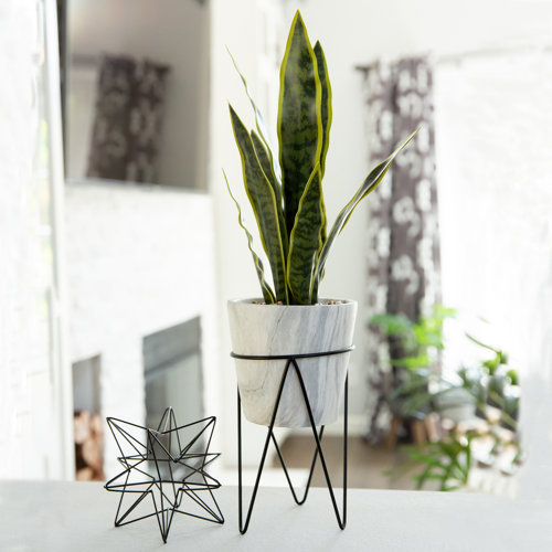 Brayden Studio® 21'' Faux Snake Plant in Stone Planter & Reviews Wayfair